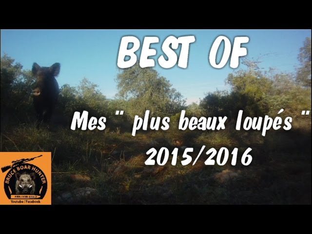 Caccia al Cinghiale dall’altana