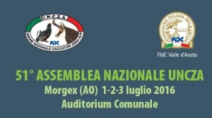 Assemblea nazionale dell'UNCZA