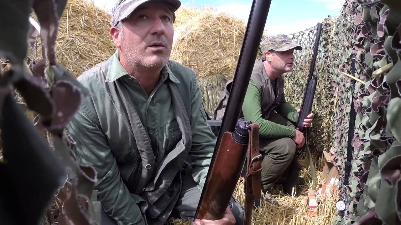 Caccia al colombaccio Irlanda – Episodio 2