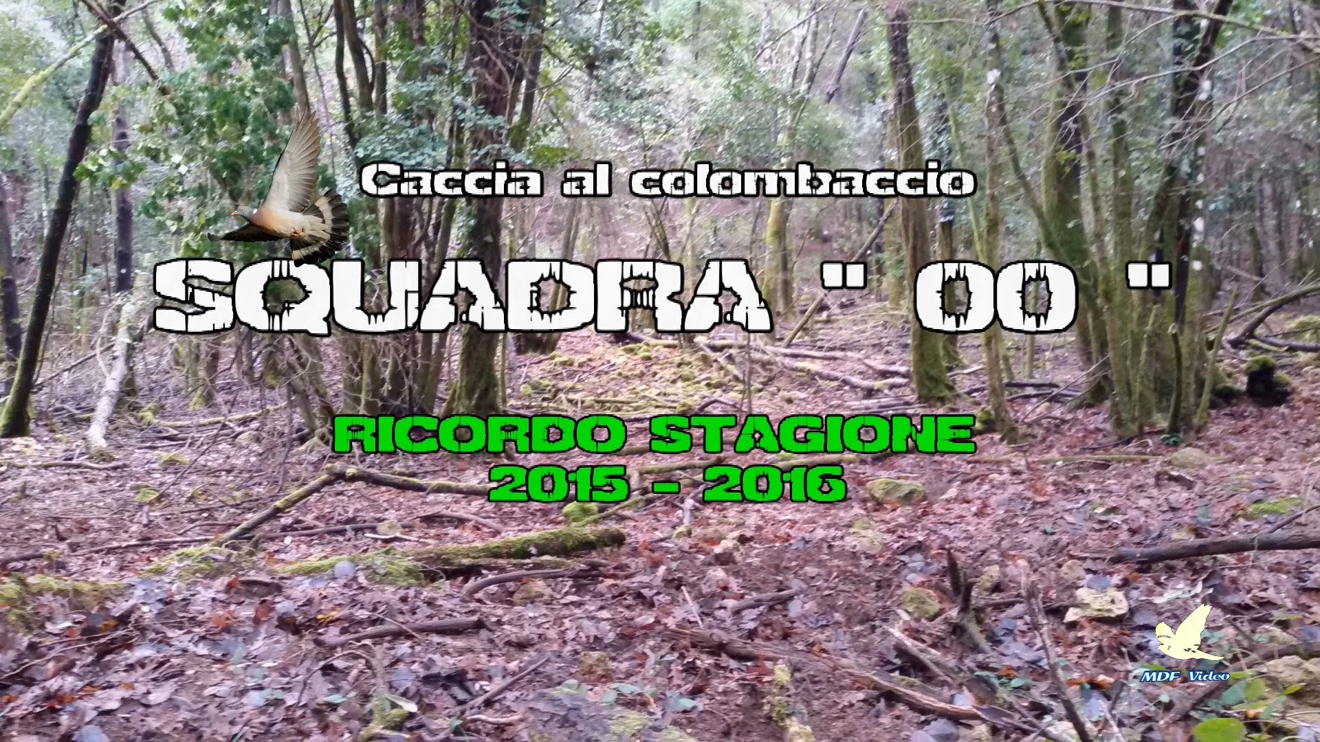 Caccia al Colombaccio