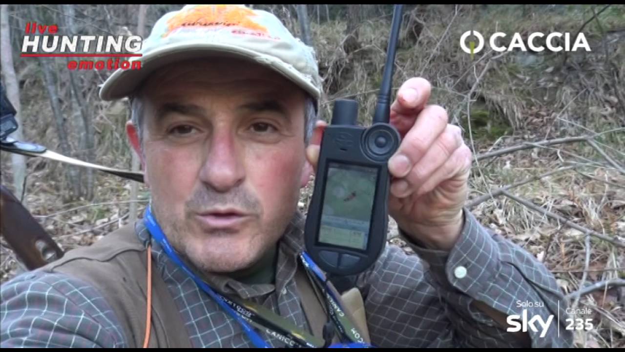 Caccia alla Beccaccia, addio mia dolce Chetti…