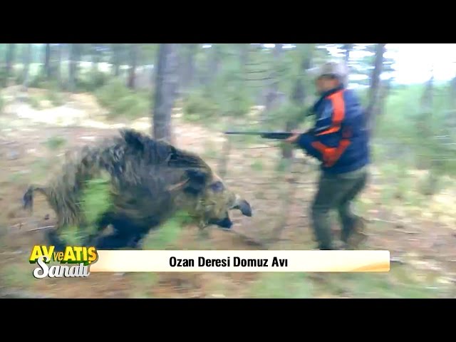 Caccia al Cinghiale…per un pelo!!!