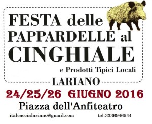 Festa delle Pappardelle al Cinghiale