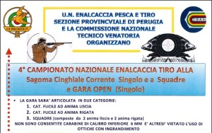 Tiro alla Sagoma Cinghiale