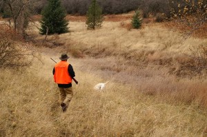 Cani da caccia in Umbria