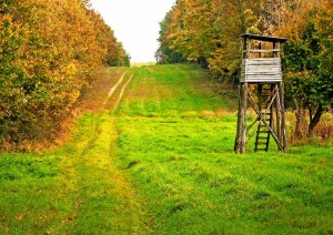 Ambiti Territoriali di Caccia