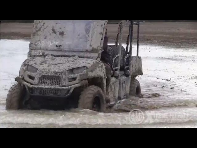 Caccia alle anatre in appostamento