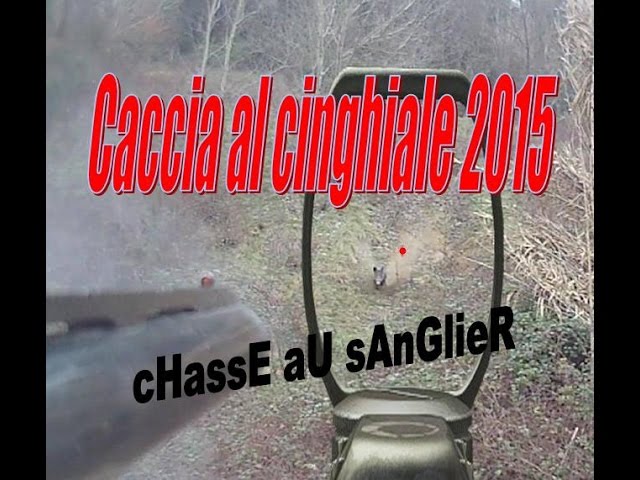 Caccia al Cinghiale in battuta 2015