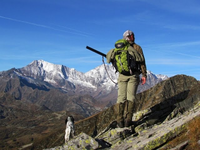 Caccia alla Beccaccia sulle Alpi