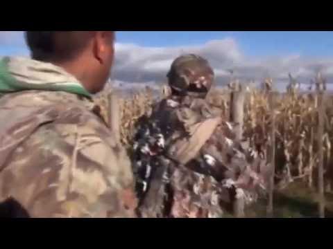 Caccia al Colombaccio in Argentina