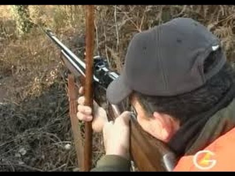 Caccia al Cinghiale, battuta in Toscana