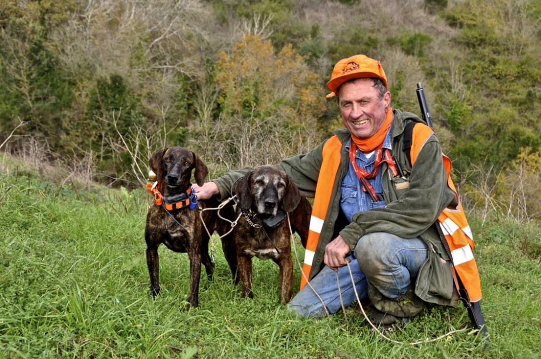 KONUSTEX INTEGREX Giacca Protettiva Per Cani Da Caccia – Corpetto Anti Cinghiale Con Rinforzo Antiperforazione E Inserti Riflettenti (Taglia T70)