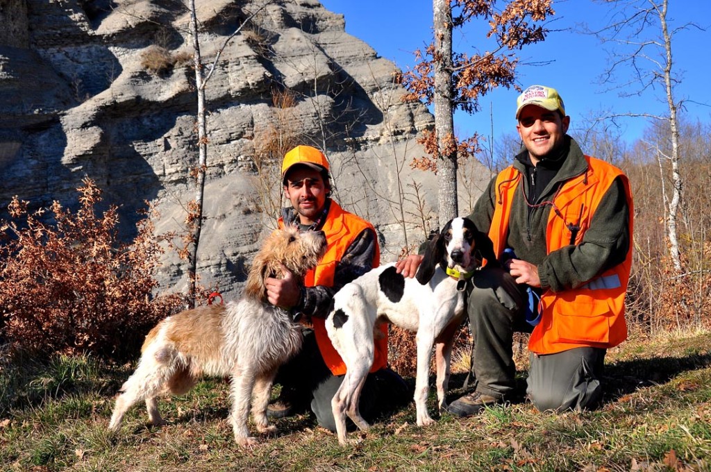 Cani Da Caccia Al Cinghiale In Prima Linea Caccia Passione Cani Da Caccia Al Cinghiale In Prima Linea Caccia Passione