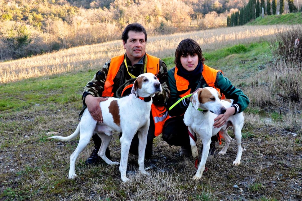 Cani Da Caccia Al Cinghiale In Prima Linea Caccia Passione Cani Da Caccia Al Cinghiale In Prima Linea Caccia Passione