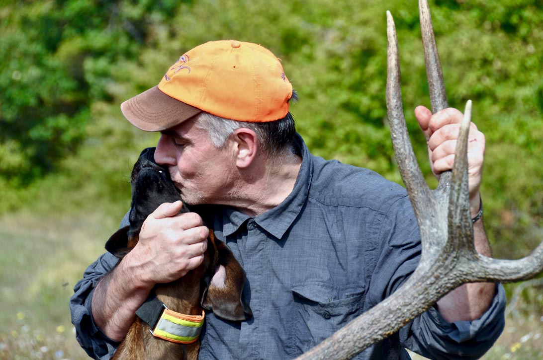 cane bavarese da recupero Ad ogni recupero si consolida il legame tra il conduttore e il proprio ausiliario