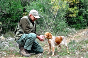 Malattie trasmesse ai cani da caccia