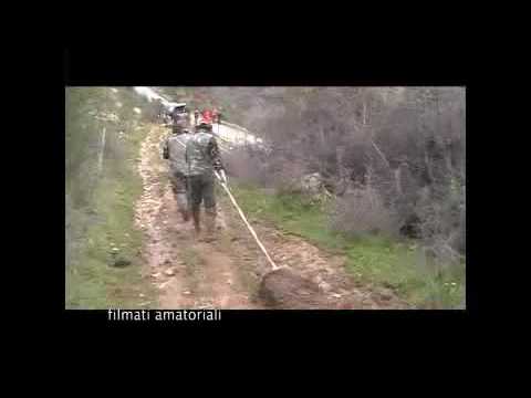 Caccia al Cinghiale nelle Madonie