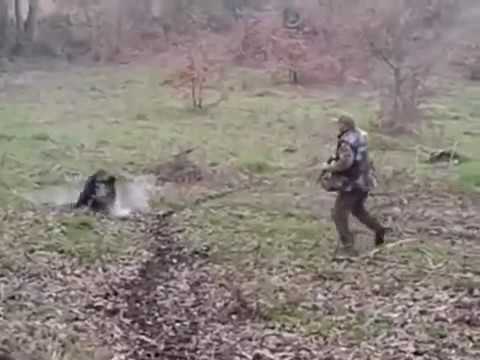 Caccia al cinghiale…tra le padelle