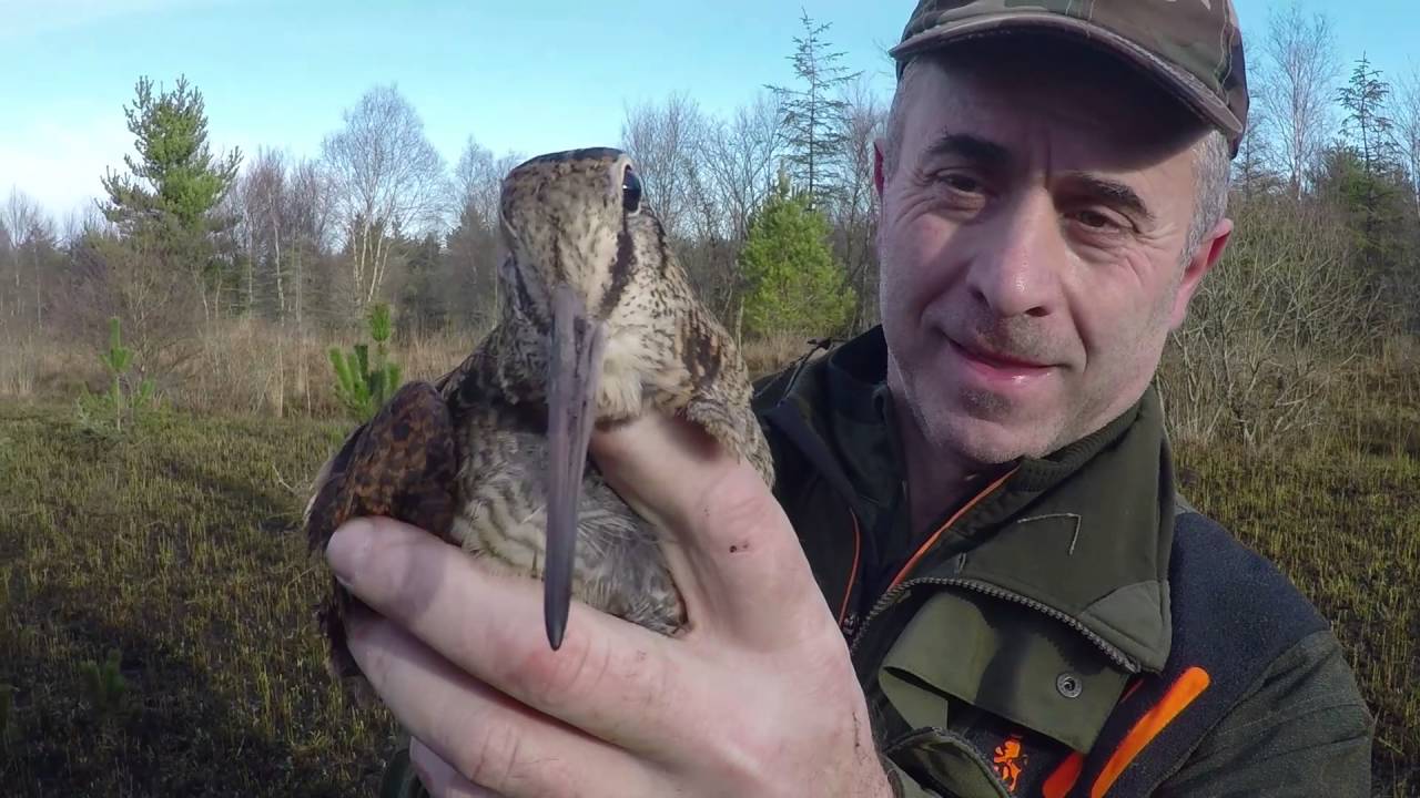 Caccia alla Beccaccia – I bresciani e non (parte 3)