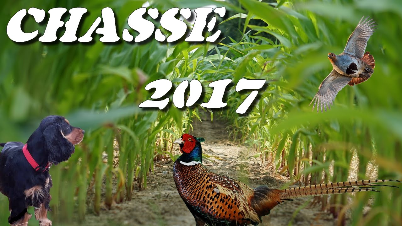 Caccia al Fagiano, stagione 2016-2017
