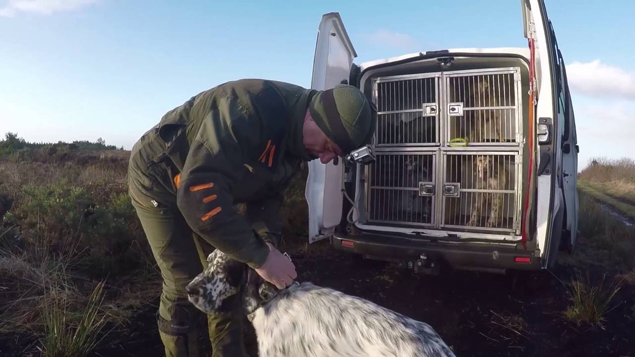 Caccia alla Beccaccia – I bresciani e non (parte 1)