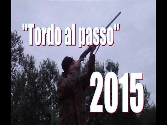 Caccia al Tordo al passo