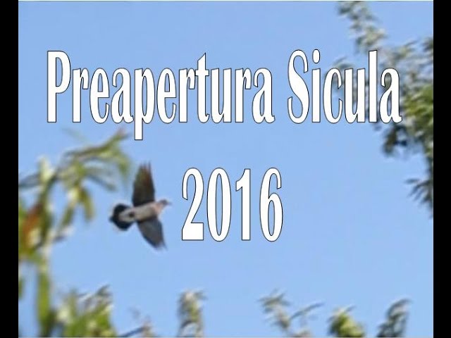 Caccia alla Tortora, preapertura 2016