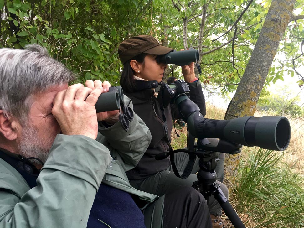 digiscoping swarovski optik digiscoping_fotografia_cervi_bramito_7