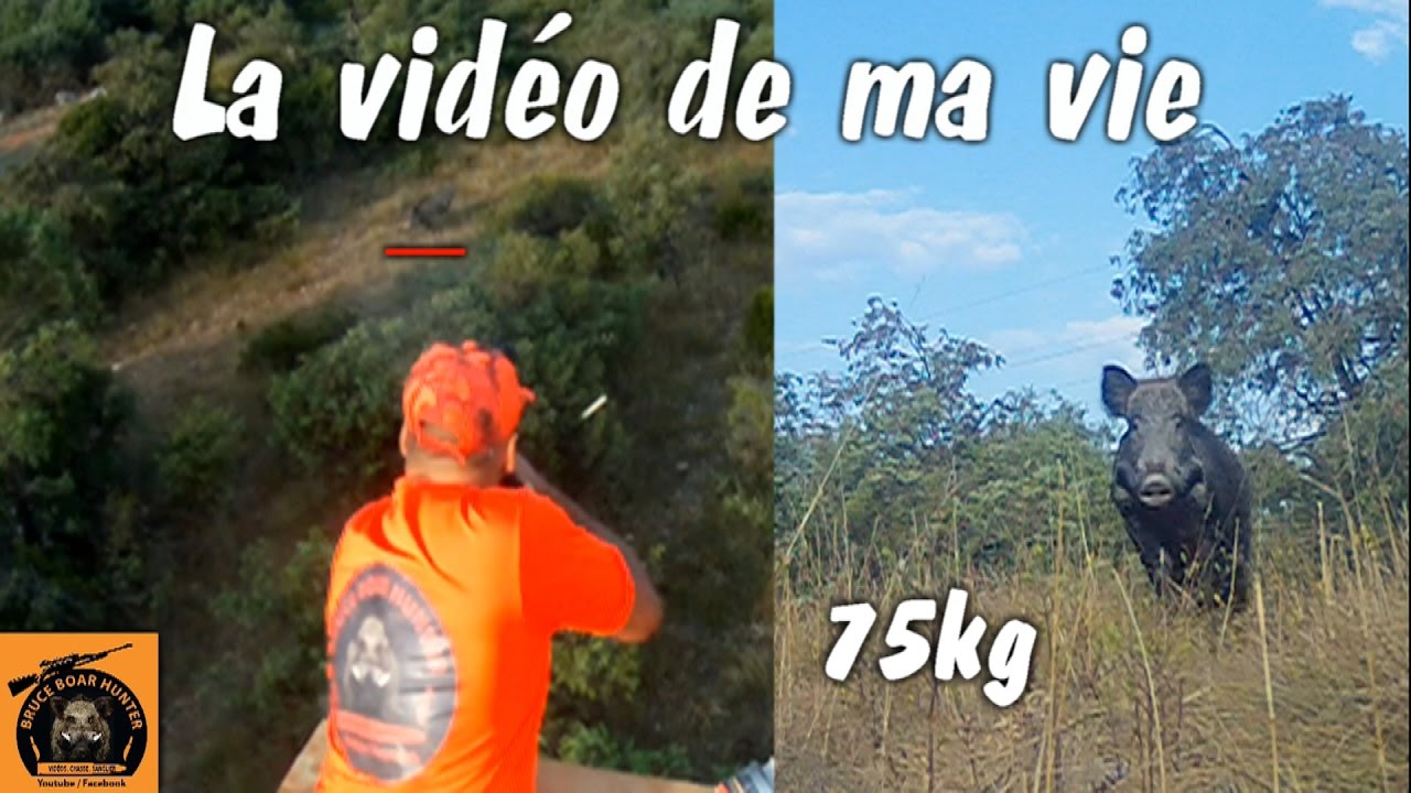 Caccia al Cinghiale dall’altana, sfida alla “Posta d’Oro”