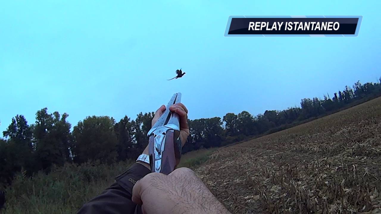 Caccia a Fagiani e Anatre al “Mortone”