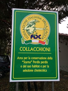 Finale Fidc per cani da seguita su lepre-La zona di Collacchioni ove si è svolta la prova