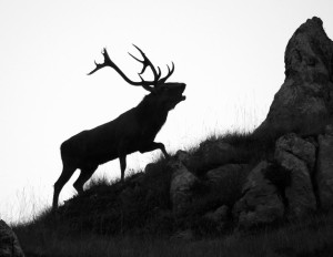 Parco dei Monti Sibillini