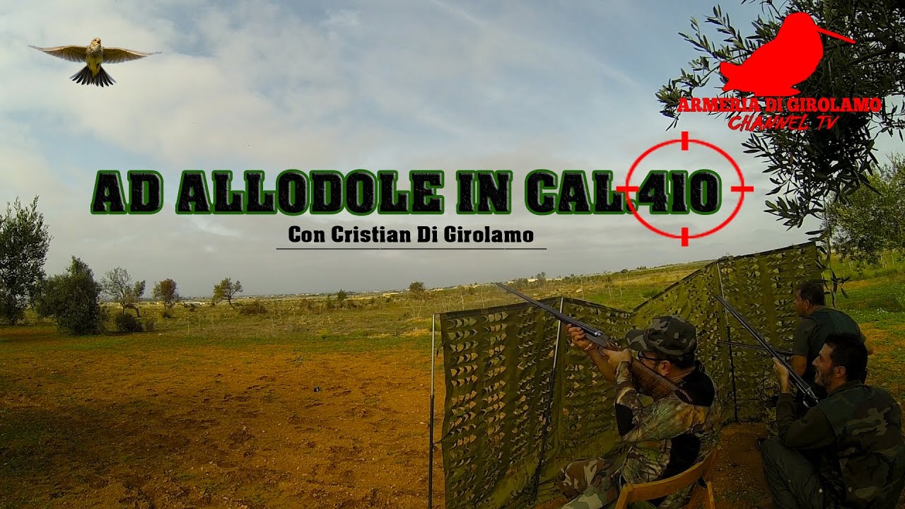 Caccia all’Allodola con cal.410