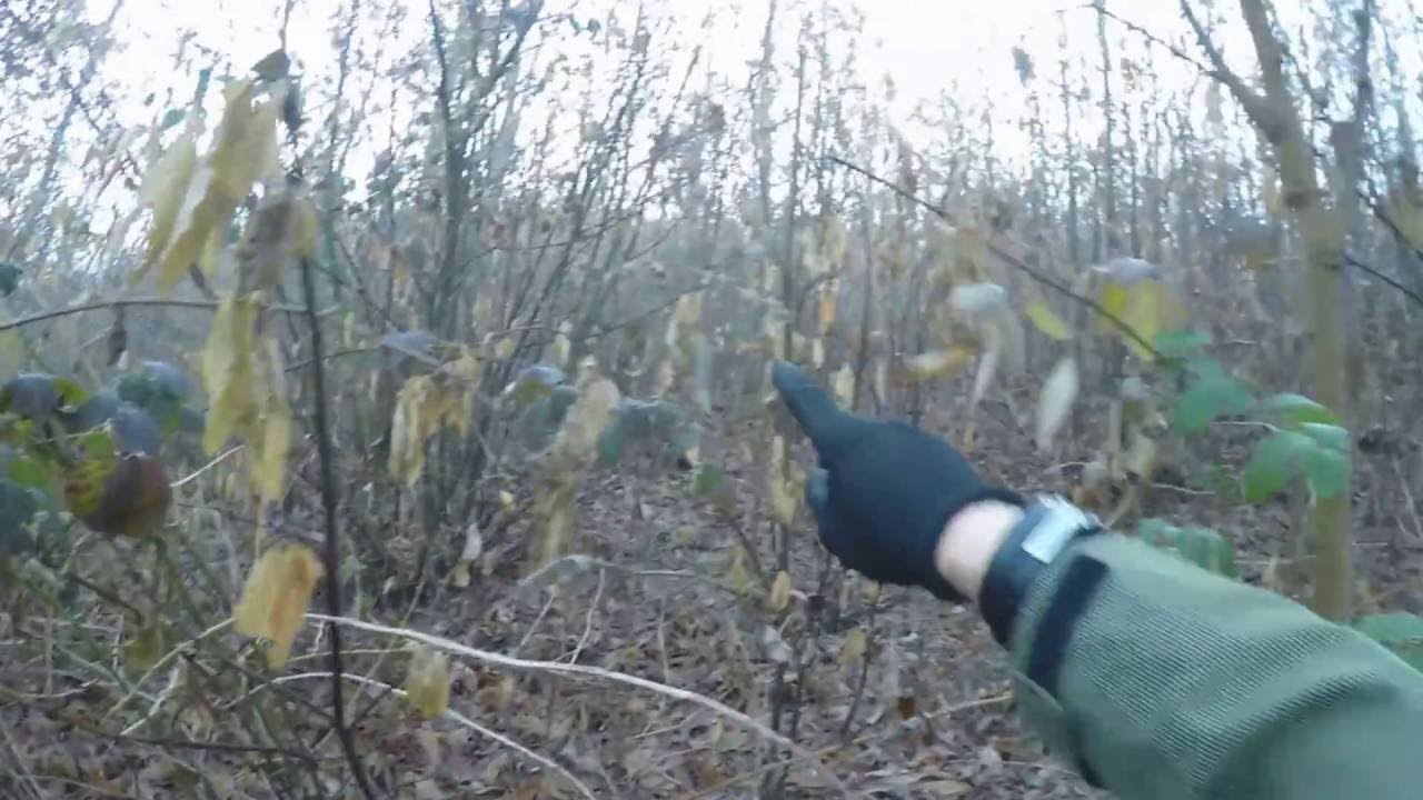 Caccia alla Beccaccia, tripletta