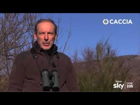 Caccia dalla lunga distanza