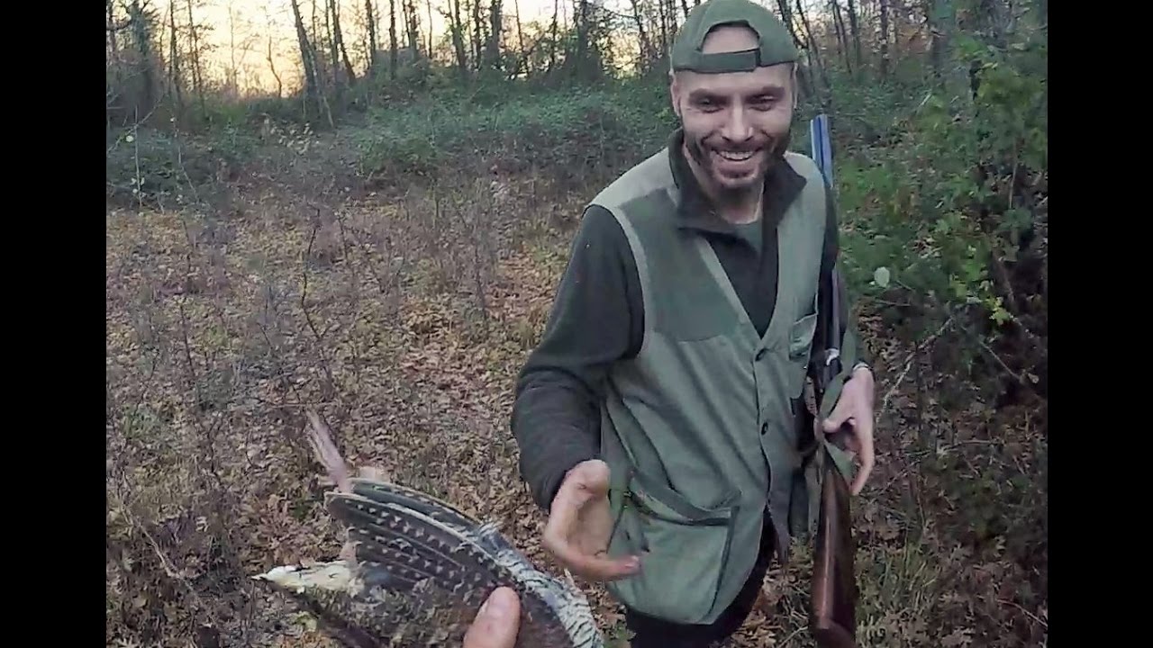 Caccia alla Beccaccia nel Cilento 2016