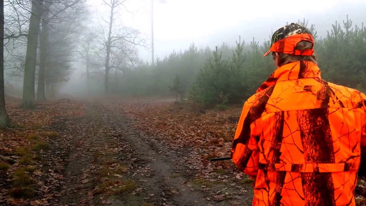 Video di caccia in Polonia