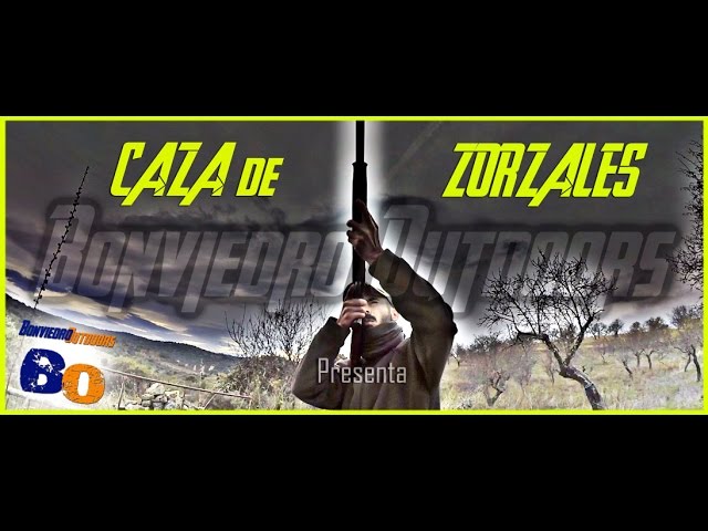 Caccia al Tordo in appostamento fisso