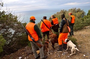 Caccia al cinghiale in Toscana