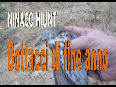 Caccia al Tordo: Bottacci di fine anno