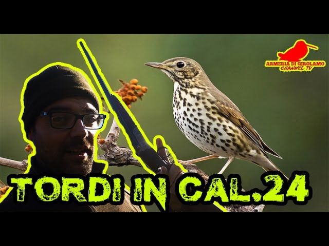 Caccia al Tordo nel passato con doppietta cal.24