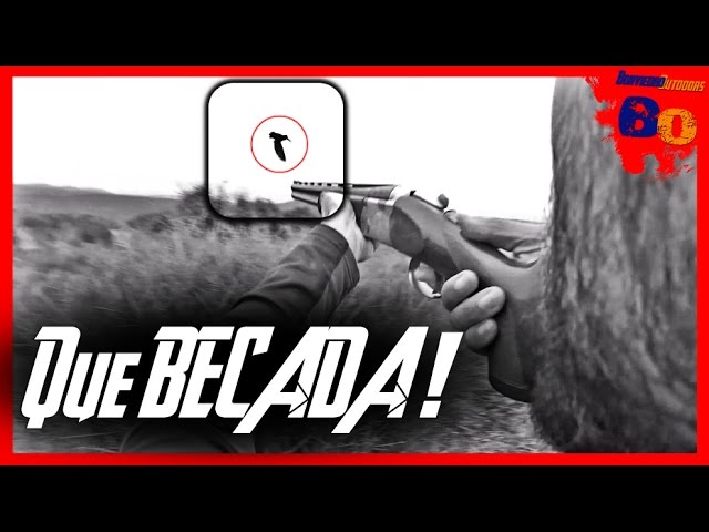 Caccia alla Beccaccia con Bracco tedesco