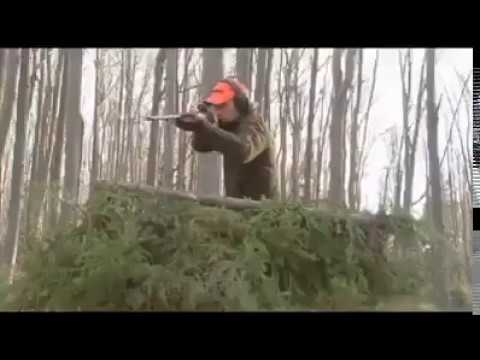 Caccia al Cinghiale dall’altana…magnifici tiri