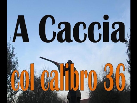 Caccia e Armi: a caccia di tordi con sovrapposto Yildiz cal.36 – 1a parte