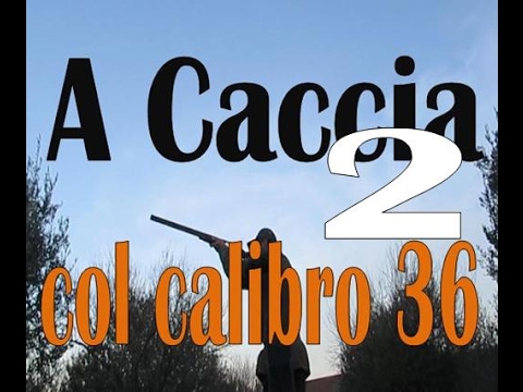 Caccia e Armi: a caccia di tordi con sovrapposto Yildiz cal.36 – 2a parte