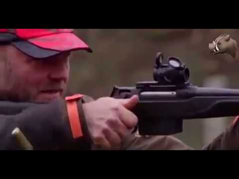 Caccia al Cinghiale, 5 tiri…”facili facili”