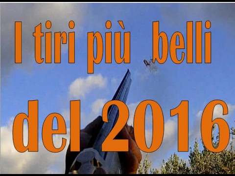 Caccia: I tiri più belli del 2016 – 1a Parte