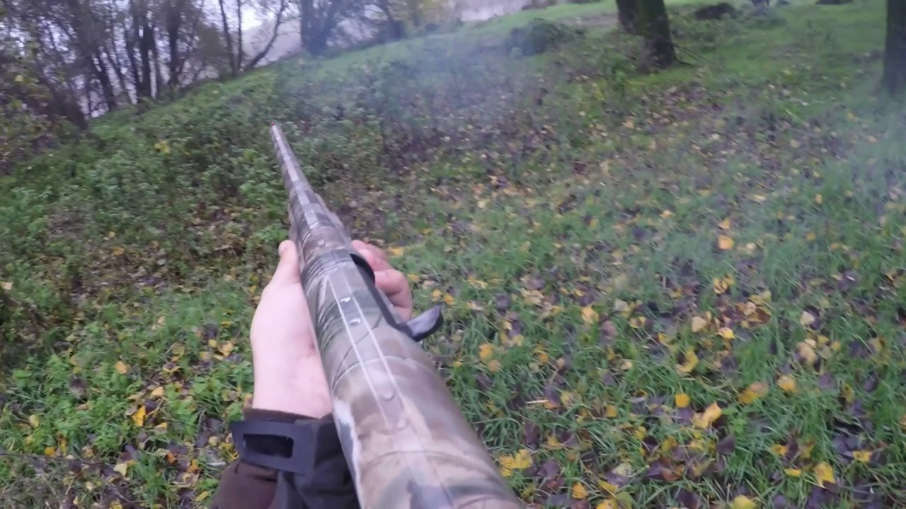 Caccia alla Beccaccia nel lodigiano