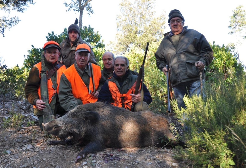 Caccia al cinghiale.. "Montauto, ".. - Caccia Passione