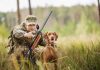 Come si apre un allevamento di cani da caccia: i migliori consigli allevamento